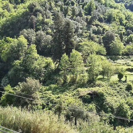Apartman Peace And Relaxation In Buggio, Surrounded By Greenery Buggio